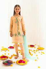 Coral Sand 3PCs Jacquard Embroidered - (Pret)