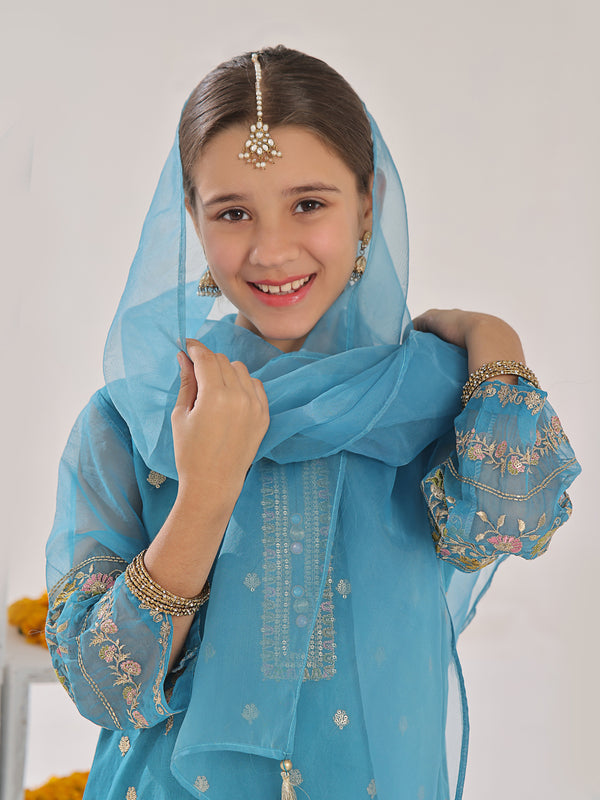 3Pc Embroidered Suit Pret Organza Blue - OGE3P-2311011