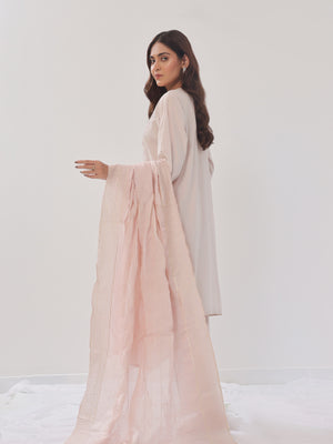 3PCs Embroidered Suit Pret Dyed Cambric Light Grey - OWE3PG-2406008